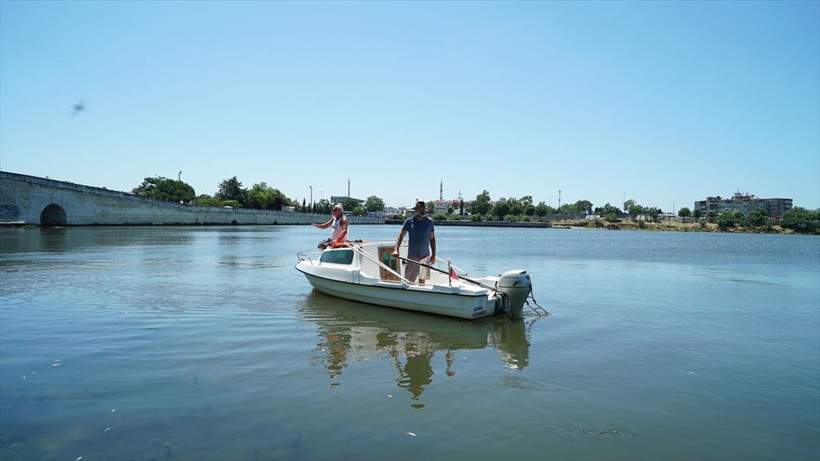 Küçükçekmece Gölü'nde korkunç görüntü! Binlerce ölü balık kıyıya vurdu - Resim: 1
