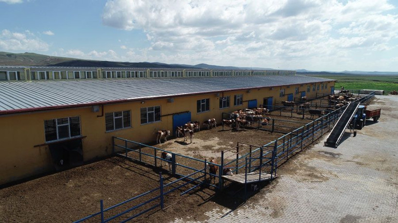 Köyüne kurduğu çiftlikte kazandığı para dudak uçuklatıyor - Resim: 2