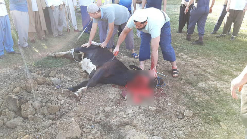 Mahmut Ustaosmanoğlu için 100 kurban kesen kişi kovulan mürid çıktı - Resim: 3