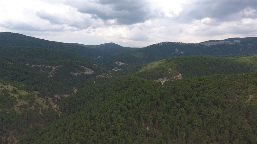 Afyonkarahisar'da doğayla iç içe Kocayayla ekoturizmin gözdesi - Resim: 1