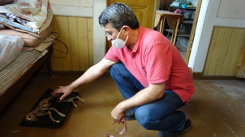 Giresun'da evinde iskelet buldu! Ne kediye nede köpeğe benziyor - Resim: 4