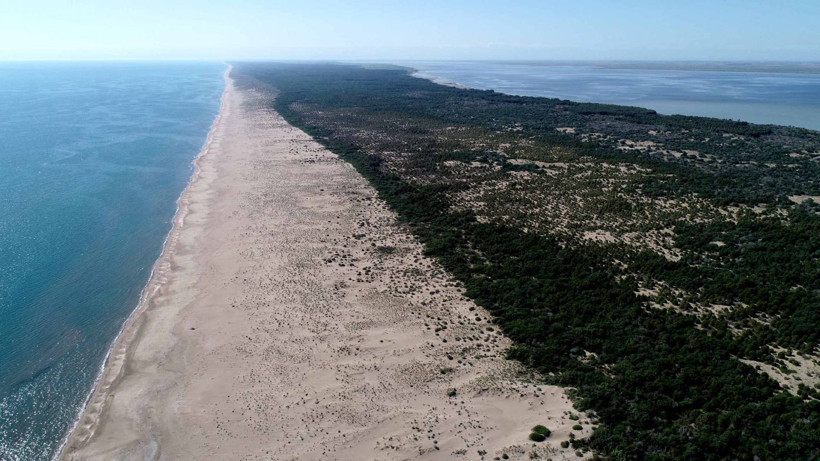 Adana'da Akyatan Lagünü 7 yıllığına kiralanacak - Resim: 1