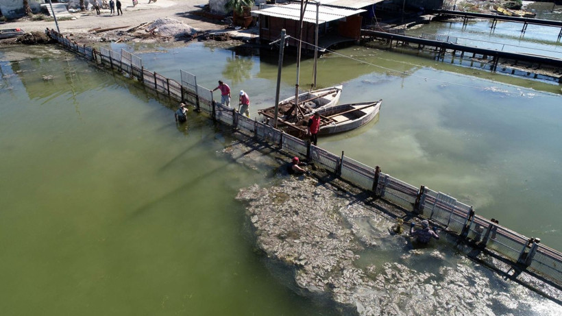 Adana'da Akyatan Lagünü 7 yıllığına kiralanacak - Resim: 4