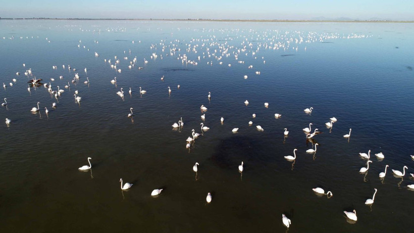 Adana'da Akyatan Lagünü 7 yıllığına kiralanacak - Resim: 3