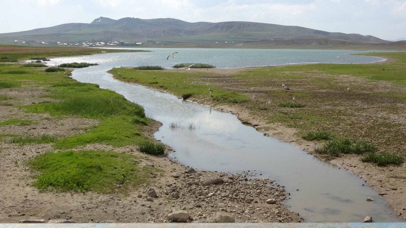 Değirmi Göleti’nde leylek yoğunluğu - Resim: 4
