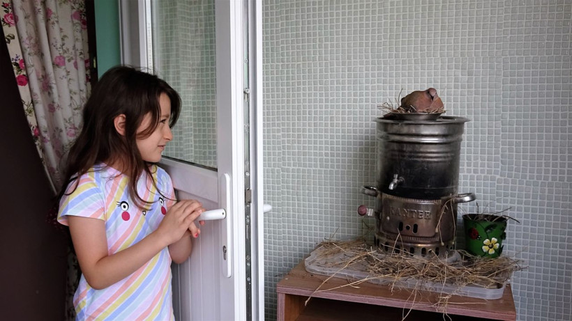 Tokat'ta kumru öyle bir yere yuva yaptı ki görenler şaştı kaldı - Resim: 4
