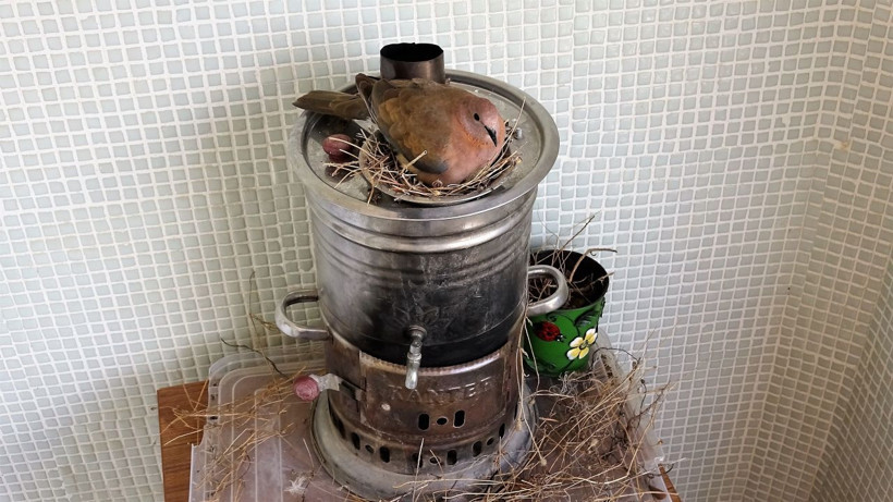 Tokat'ta kumru öyle bir yere yuva yaptı ki görenler şaştı kaldı - Resim: 1