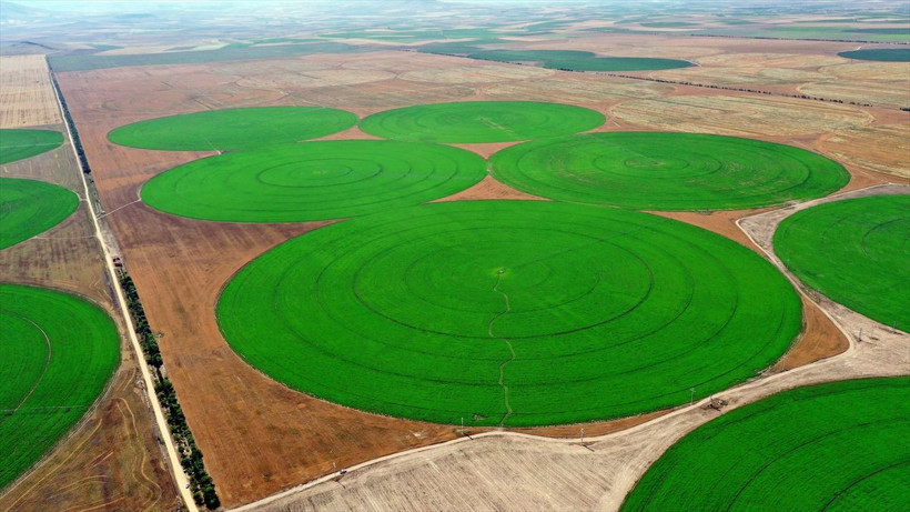 Konya'da her biri 50 futbol sahası büyüklüğünde tarlalar gökyüzünden görüntülendi - Resim: 3