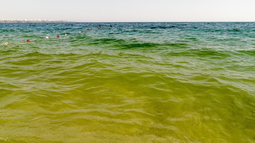 Antalya Konyaaltı sahilinin rengi bir anda değişti denizdekiler korkuyla çıktı - Resim: 4