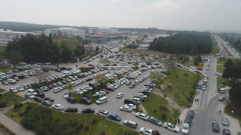 Türkiye'de bir ilk! İspanya’dan sonra Bursa’da yetiştiriliyor - Resim: 2