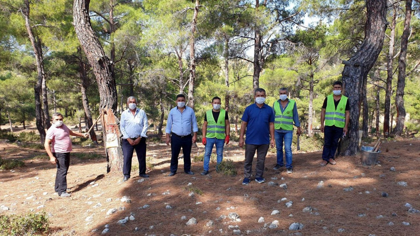 Aydın'da köylülerin geçin kaynağı oldu kilosu 700 TL'ye satılıyor - Resim: 2