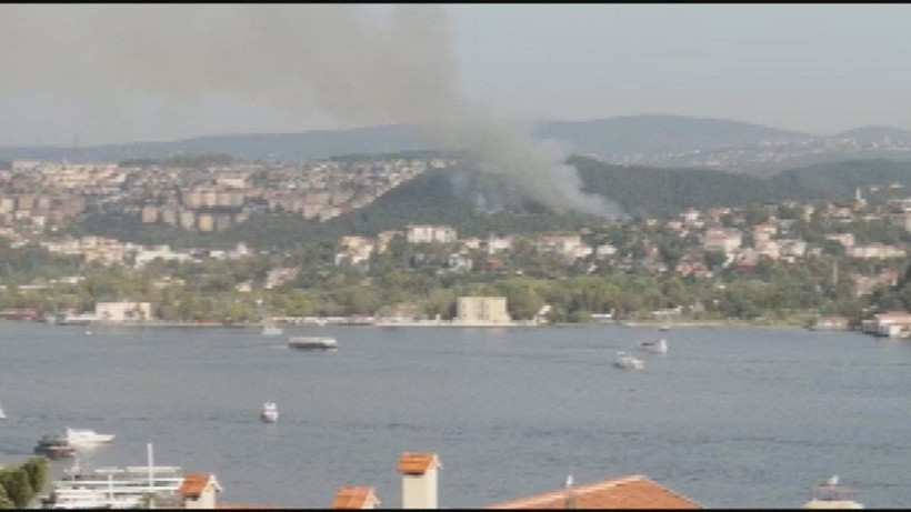 Beykoz'da büyük çaplı yangın! Ormanlık alanda alevler hakim oldu - Resim: 3
