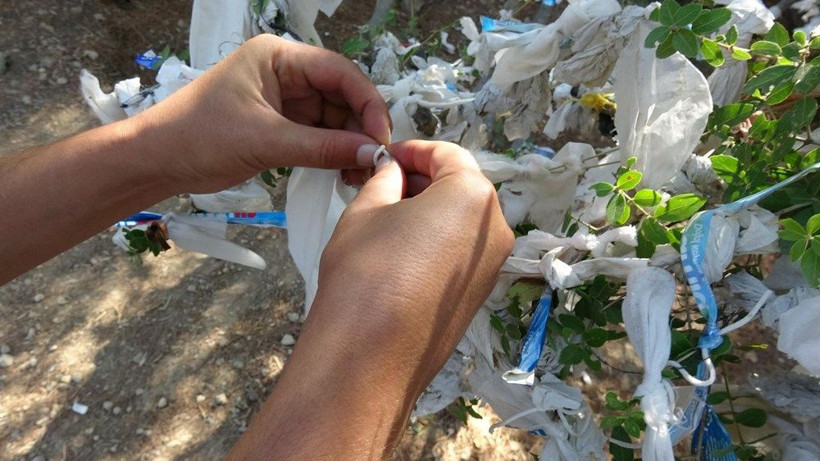 Çanakkale'de görenleri şok eden manzara! Yüzlerce maskeyi ağaca astılar - Resim: 1