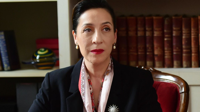 TV8'de yayımlanan Kırmızı Oda dizisinin başrolü Binnur Kaya'dan bomba itiraf geldi - Resim: 2