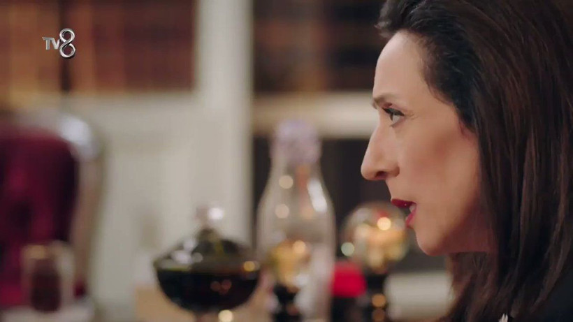 TV8'de yayımlanan Kırmızı Oda dizisinin başrolü Binnur Kaya'dan bomba itiraf geldi - Resim: 4