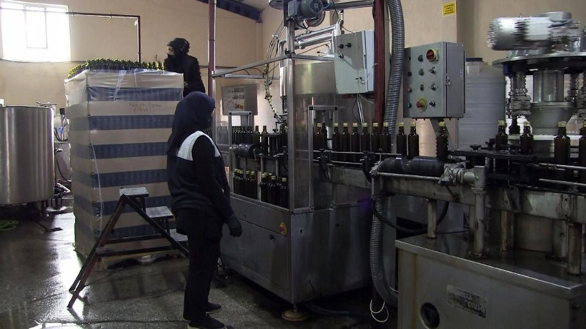 Niğde’de üretiliyor 15 ülkeye ihraç ediliyor! Karaciğere iyi geliyor - Resim: 1