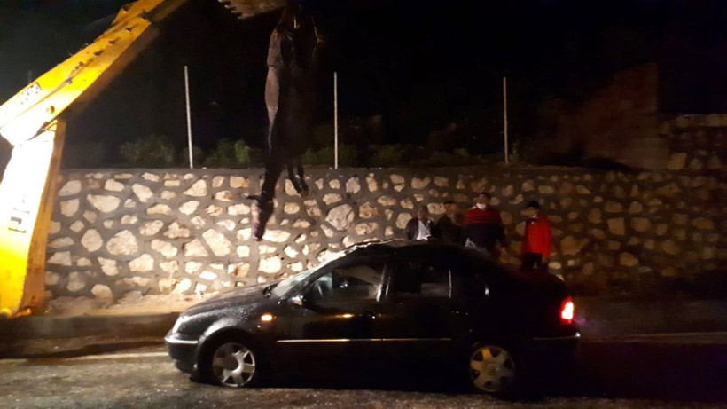 Adıyaman'da otomobilin çarptığı at aracın içine girdi - Resim: 2