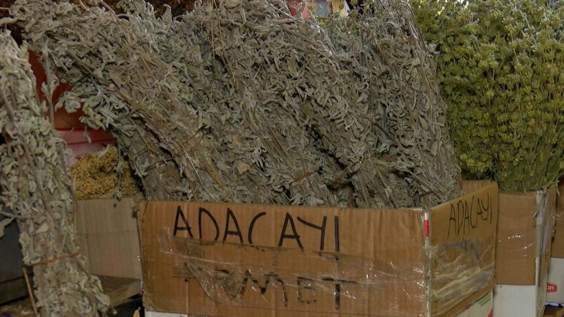 Koronavirüs gargarası satışları patlattı! Prof İbrahim Saraçoğlu'nun tarifi - Resim: 3