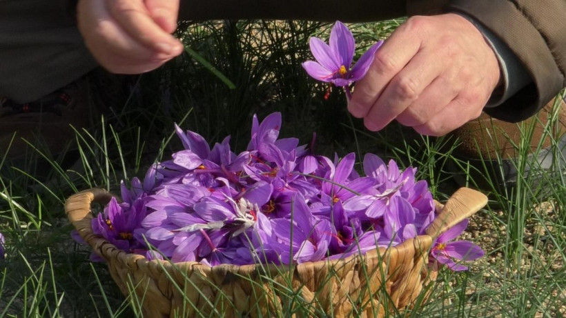 Edirne'de emekli olduktan sonra denedi! Şimdi paraya para demiyor - Resim: 1