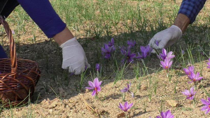Edirne'de emekli olduktan sonra denedi! Şimdi paraya para demiyor - Resim: 2