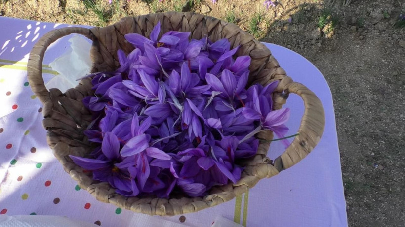 Edirne'de emekli olduktan sonra denedi! Şimdi paraya para demiyor - Resim: 4