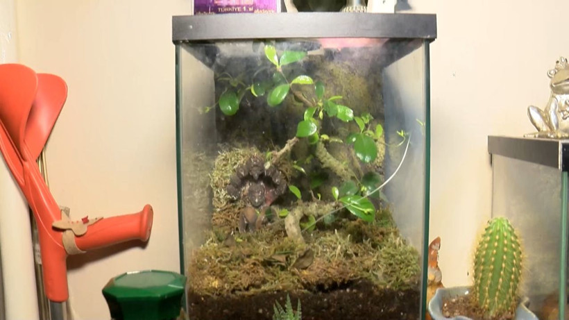 Komşuları görünce şoke oldu genç kadının evinden çıkardılar - Resim: 3