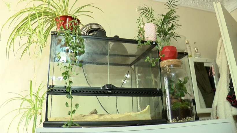 Komşuları görünce şoke oldu genç kadının evinden çıkardılar - Resim: 4