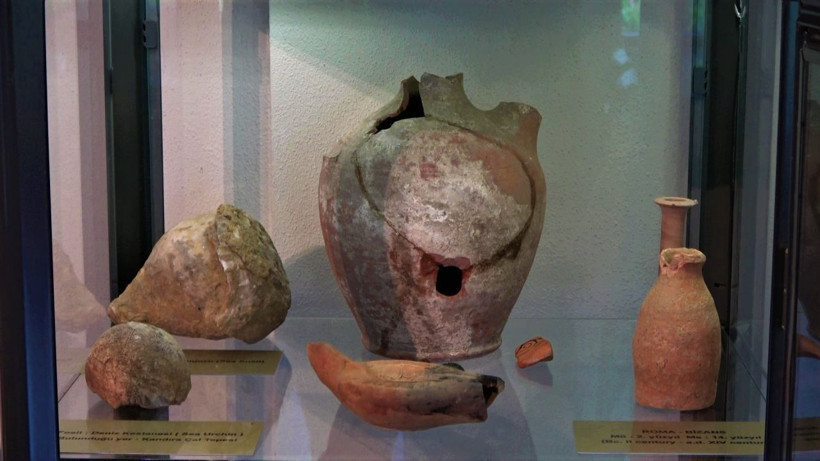 Yeşilçam’ın yakışıklı jönü Sertan Acar sinemayı bıraktı! Kocaeli'de bu işi yapmaya başladı - Resim: 3