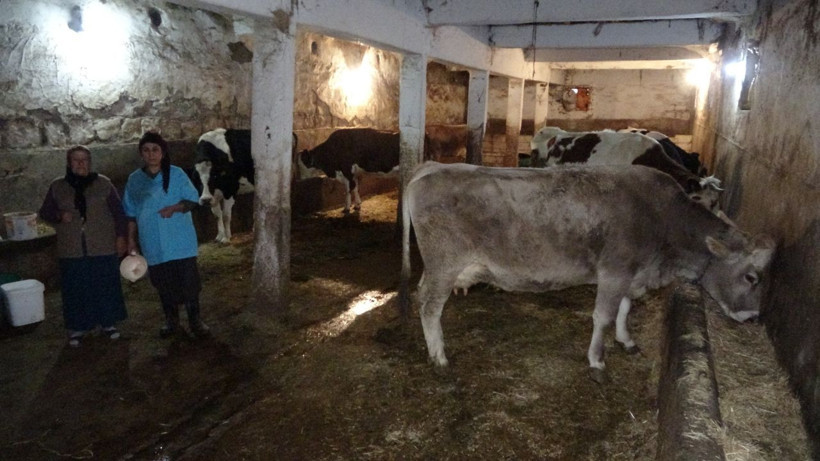 Sivas'ta asgari ücreti kabul etmedi kendi işini kurdu! Aylık kazancı şaşırttı - Resim: 3