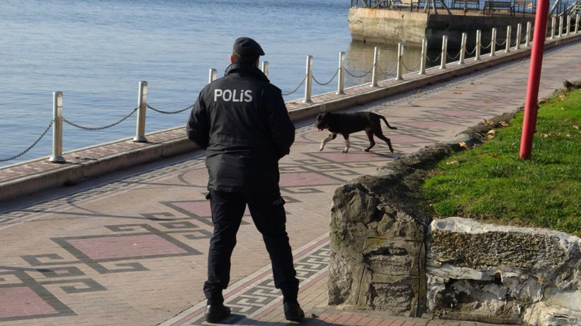 Zonguldak'ta pitbull boğarak öldürdü kimse elinden alamadı o anlar görüntülendi - Resim: 2