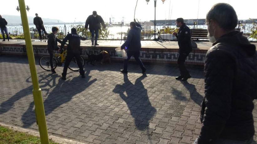 Zonguldak'ta pitbull boğarak öldürdü kimse elinden alamadı o anlar görüntülendi - Resim: 3