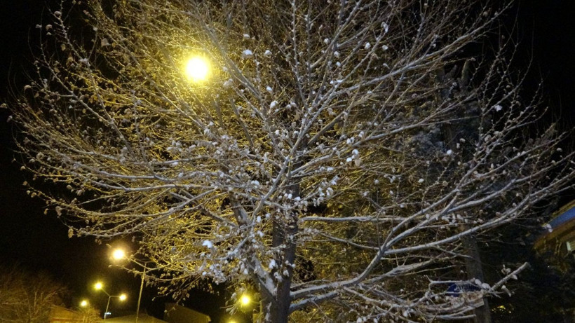 Ardahan beyaza büründü - Resim: 2