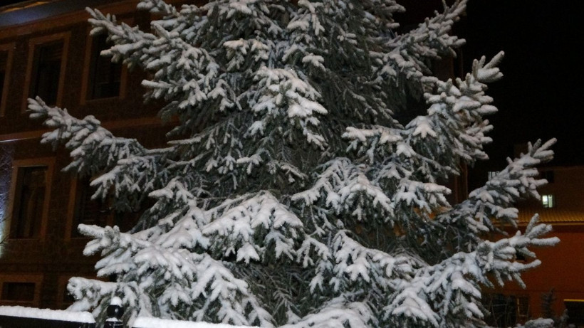 Ardahan beyaza büründü - Resim: 3