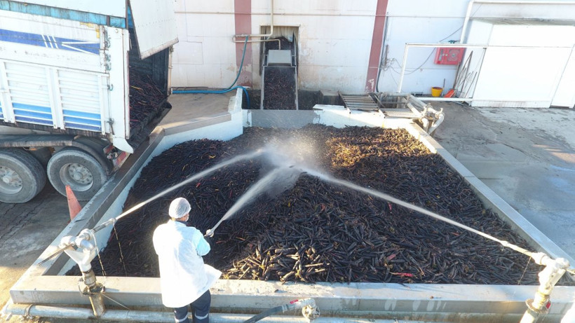 Konya'da pandemi etkilemedi! Talep patladı 35 ülke sıraya girdi - Resim: 1