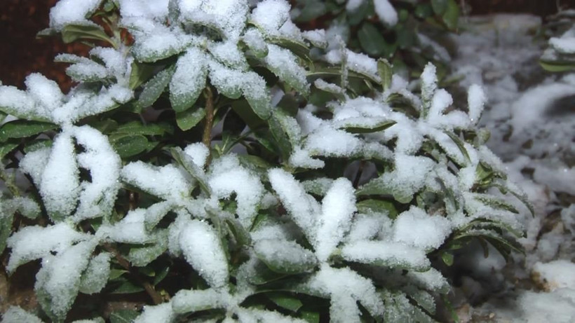İstanbul karla birlikte beyaza büründü! Bakın nerelerde yağdı - Resim: 1