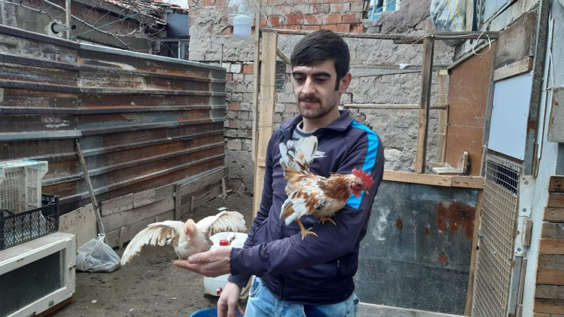 Bu tavuklar çok özel! 300 gram tavuğunun çifti bin lira yumurtası 20 lira - Resim: 3