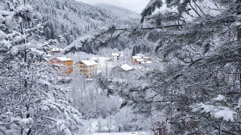 Kastamonu'da 1200 nüfuslu 18 köye koronavirüs hiç giremedi! Sopayla ev ev gezip... - Resim: 1