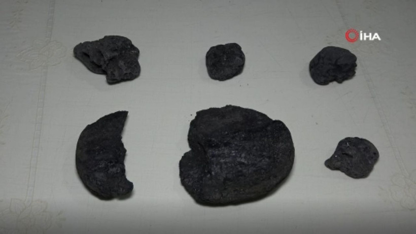 'Kimseye kaptırma' dedi! Sinop'ta tarlada buldu ABD'den milyonluk teklif geldi - Resim: 1