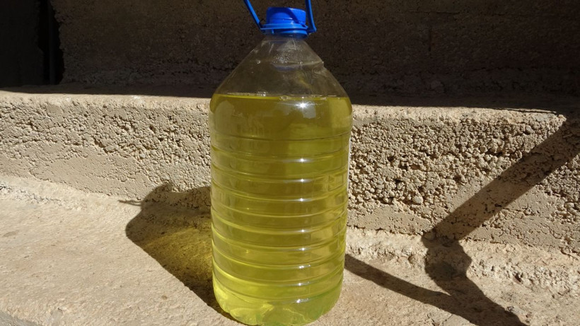 Fiyatını duyan şaştı kaldı! Isparta'da üretiliyor Hollanda sıraya girdi - Resim: 2