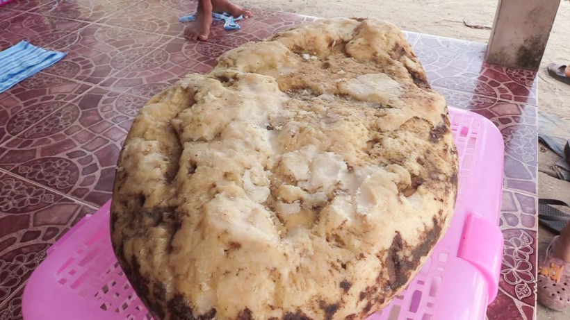 Sahilde buldu görenlerin midesi bulandı! Fiyatını duyan şaştı kaldı - Resim: 4