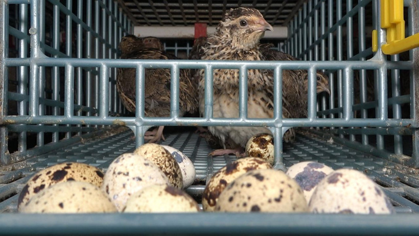 Kırıkkale'de markette bulamayınca üretime başladı siparişe yetişemiyor - Resim: 2