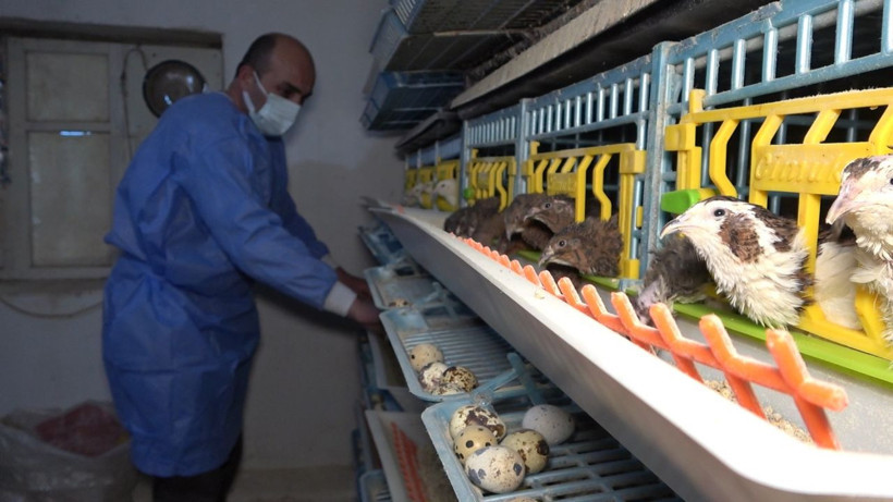 Kırıkkale'de markette bulamayınca üretime başladı siparişe yetişemiyor - Resim: 1