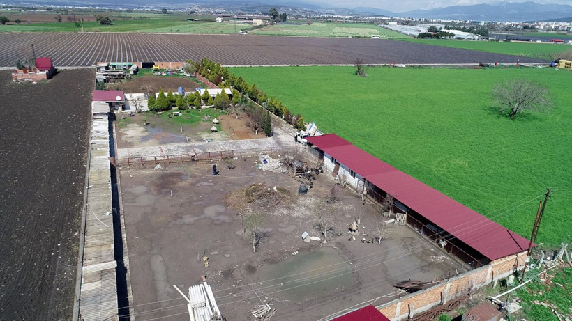 İzmir'de İran tavuğundan üretiyor talebe yetişemiyor! Hristiyanlar yumurtanın peşinde - Resim: 4