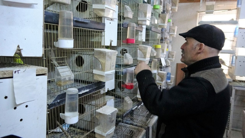 Tokat'ta emekli olup hayalini gerçekleştirdi! 2 taneyle başladı 200'e çıktı - Resim: 3