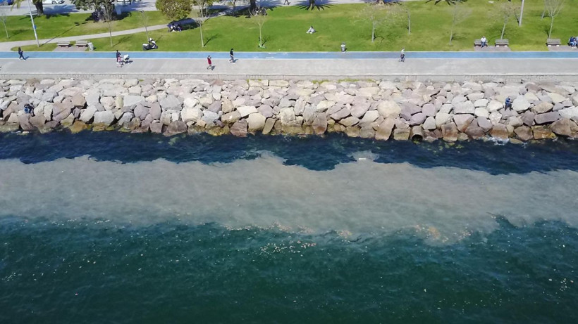 Kartal Sahili'nde endişelendiren görüntü! 'Deniz salyası' sahil boyunu kapladı - Resim: 2