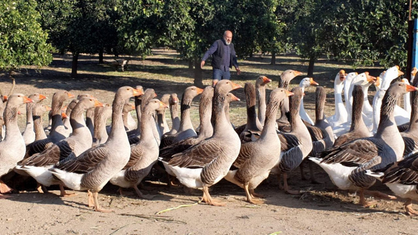 Hobisini işe çevirdi 250 TL'ye satıyor! Aydın'da üretip Türkiye'ye satıyor paraya para demiyor - Resim: 4