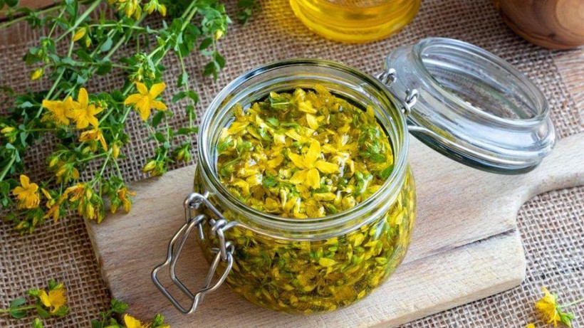 Sarı kantaron faydaları sarı kantaron yağı cilde nasıl uygulanır? - Resim: 4