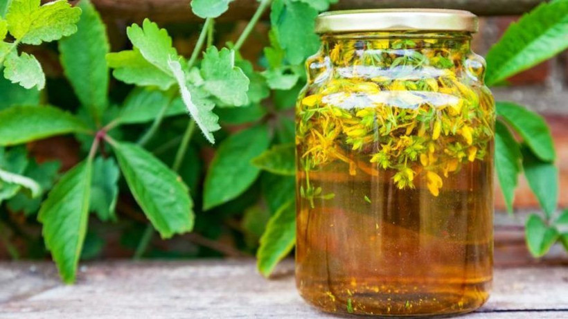 Sarı kantaron faydaları sarı kantaron yağı cilde nasıl uygulanır? - Resim: 3