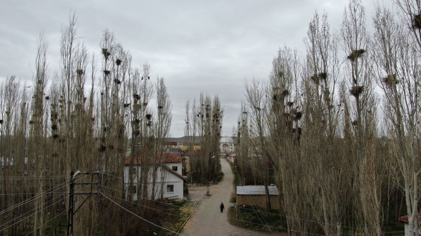 Sivas'ta hayatları kabusa döndü korku filmi gibi çamaşır bile asamıyorlar - Resim: 2