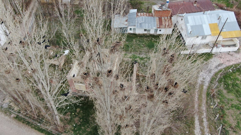 Sivas'ta hayatları kabusa döndü korku filmi gibi çamaşır bile asamıyorlar - Resim: 3